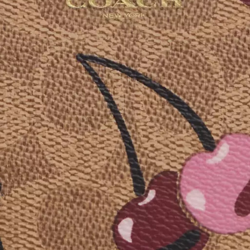 Coach Corner Zip Wristlet In Signature Canvas With Cherry Print - Picture 7 of 7